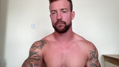 Ant_Powerhouse  26-07-2022